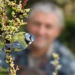 Voici pourquoi la présence de mésanges révèle un grave problème dans votre jardin