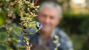 Voici pourquoi la présence de mésanges révèle un grave problème dans votre jardin
